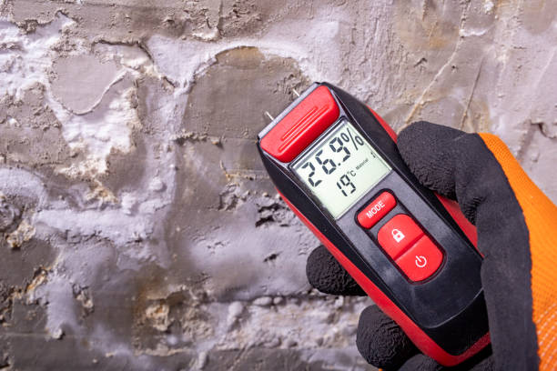 Best Certified Mold Removal  in Afton, WY