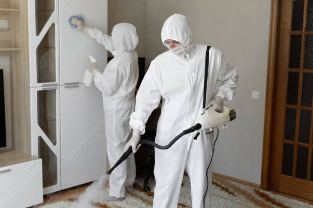 Reliable Afton, WY Mold Removal Solutions