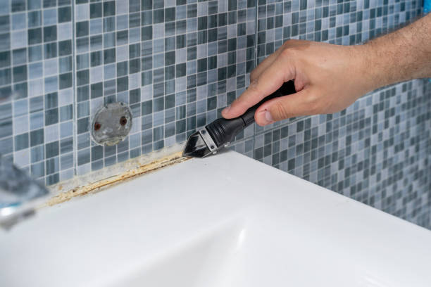 Office Mold Removal Services in Afton, WY