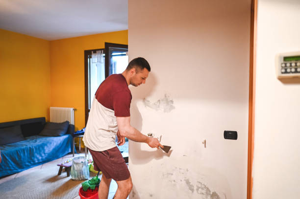 Best Mold Cleaning Services  in Afton, WY